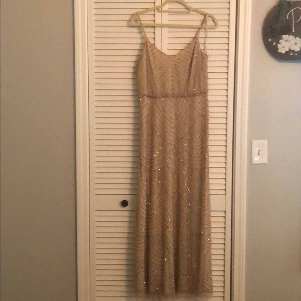 Adrianna Papell Gown